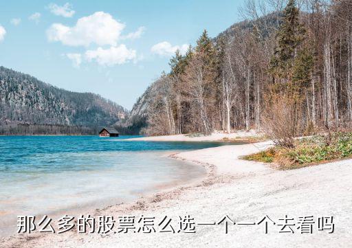 那么多的股票怎么选一个一个去看吗