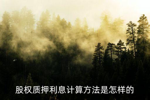 股权质押利息计算方法是怎样的