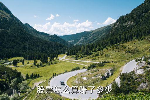 股票怎么算赚了多少