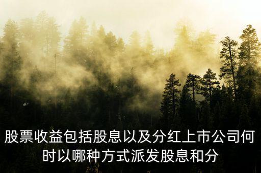 股票收益包括股息以及分红上市公司何时以哪种方式派发股息和分