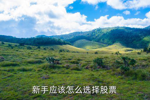 怎么选股票最聪明，怎么选股票技巧