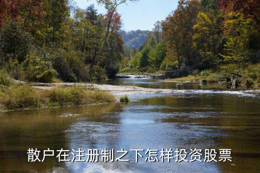 散户在注册制之下怎样投资股票