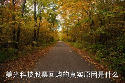 美光科技股票回购的真实原因是什么