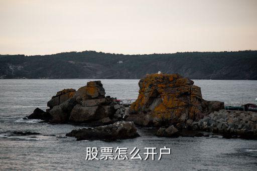 股票怎么开户