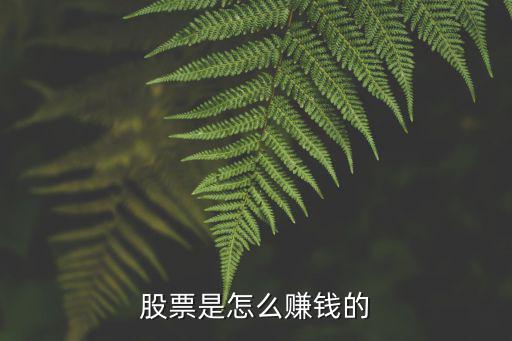 股票是怎么赚钱的