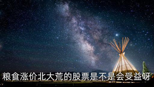 粮食涨价北大荒的股票是不是会受益呀