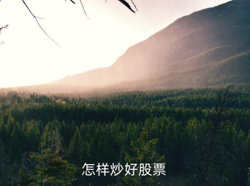 股票怎么炒才好，怎样才能炒好股票