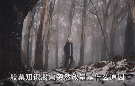 股票知识股票突然放量是什么原因