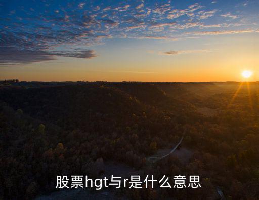 股票hgt与r是什么意思