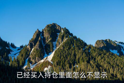 股票为什么没有显示买入，今天市价买的股票怎么没有显示买入价