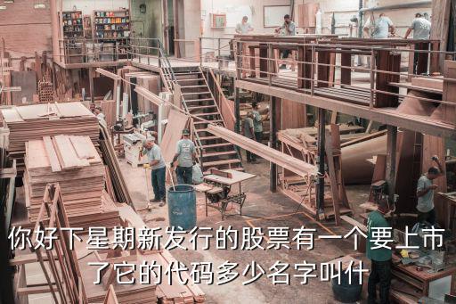这个月新发股票是什么，你好下星期新发行的股票有一个要上市了它的代码多少名字叫什