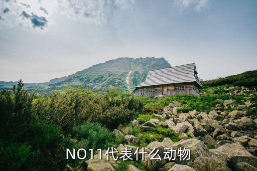 NO11代表什么动物