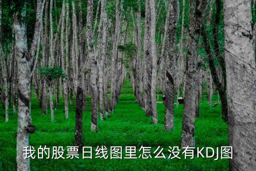 我的股票日线图里怎么没有KDJ图