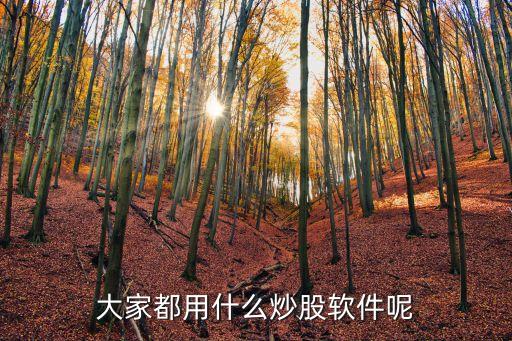 大家多用什么股票软件，大家炒股用什么App