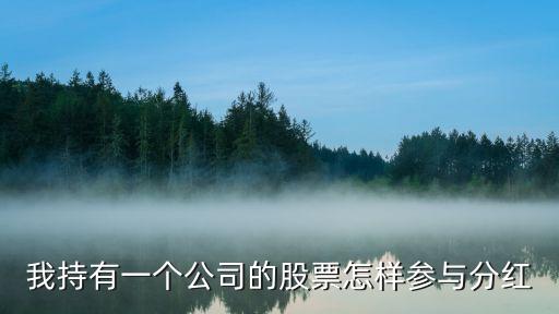 我持有一个公司的股票怎样参与分红