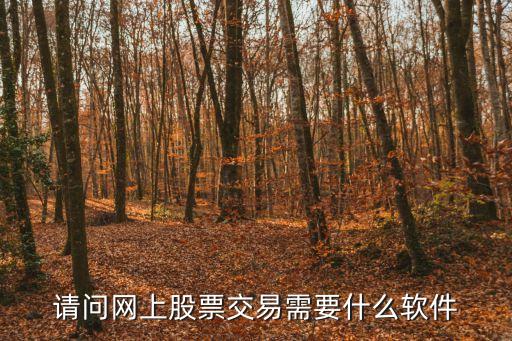 请问网上股票交易需要什么软件