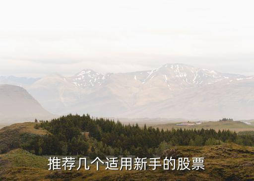股市新手该做什么股票，新手路股应该选择什么股票