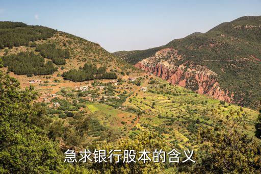 急求银行股本的含义