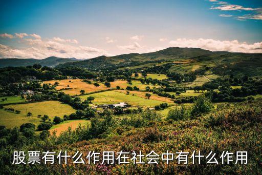 股票有什么作用在社会中有什么作用