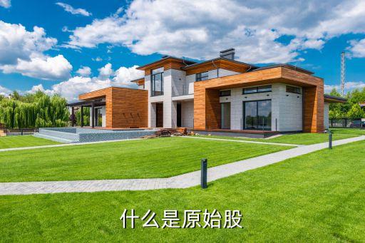 什么是原始股
