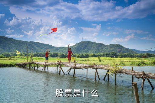 公司股票属于什么，股票是什么