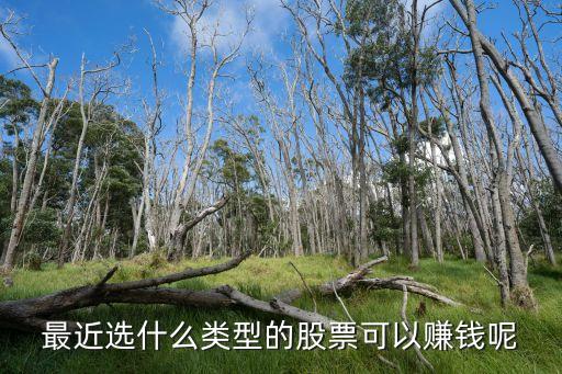 最近选什么类型的股票可以赚钱呢
