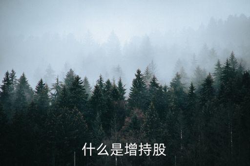 什么是增持股