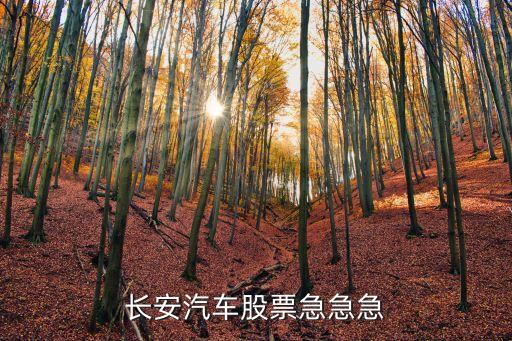长安汽车股票急急急