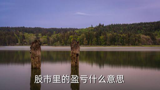 股市里的盈亏什么意思