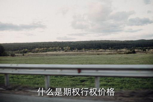 什么是期权行权价格