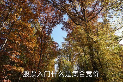 集合竞价有什么股票，股票入门什么是集合竞价