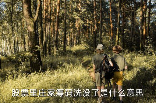 股票里庄家筹码洗没了是什么意思