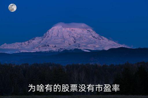 为啥有的股票没有市盈率