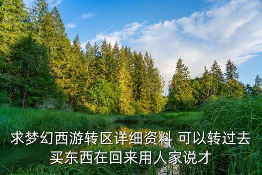 206开头的是什么股票，梦幻转区有什么要求有什么要注意的