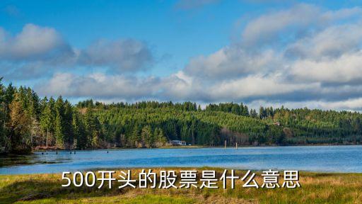500开头的股票是什么意思