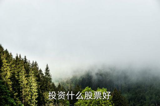 投资什么股票好