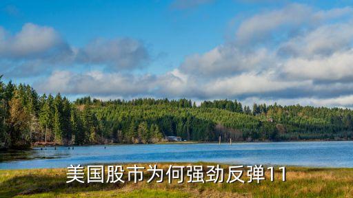美国股市为何强劲反弹11