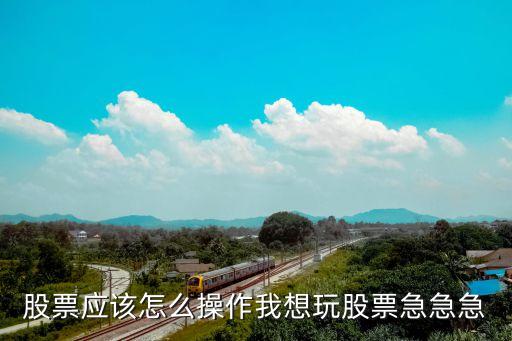 华林财富股票怎么玩，华林证券如何按照流通盘排序