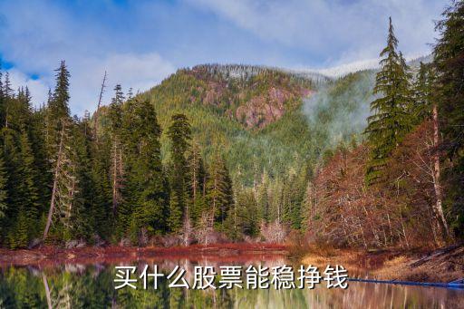 买什么股票能稳挣钱
