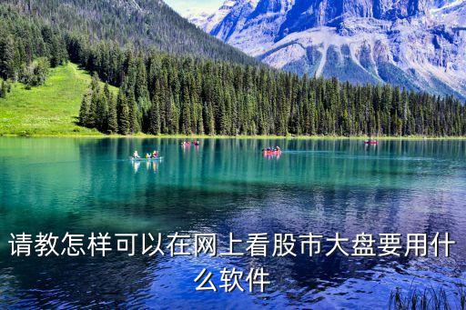 请教怎样可以在网上看股市大盘要用什么软件