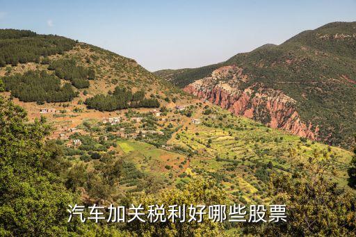 豁免关税利好什么股票，中国有望本周取消关税哪些股票将受益