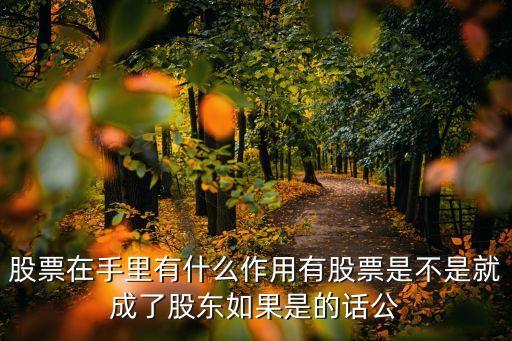 股票在手里有什么作用有股票是不是就成了股东如果是的话公