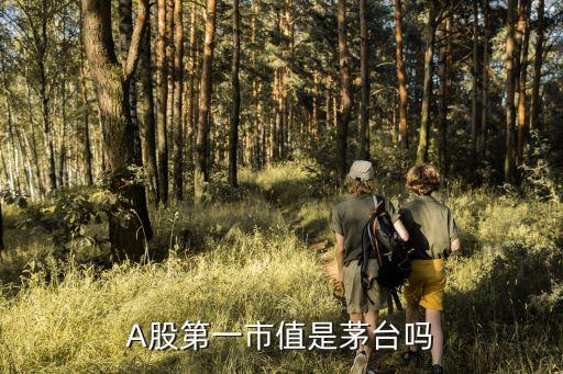 A股第一市值是茅台吗