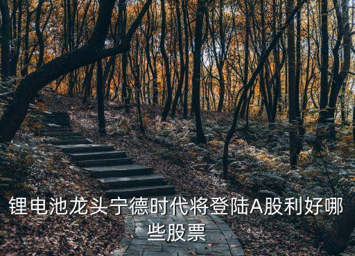 锂电池龙头宁德时代将登陆A股利好哪些股票
