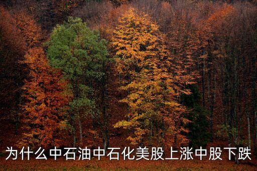 为什么中石油中石化美股上涨中股下跌