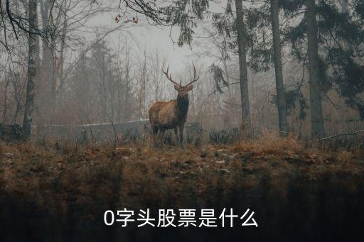 0字头股票是什么