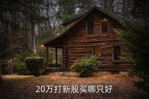 20万打新股买哪只好