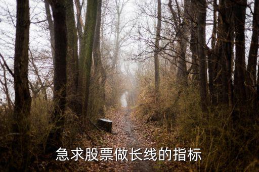 急求股票做长线的指标