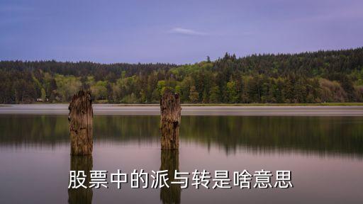 股票转是什么意思，股票转让是什么意思