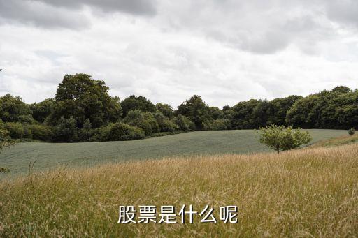 股票是什么呢